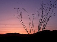sunrise.jpg (6817 bytes)