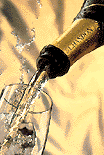wine.gif (9693 bytes)
